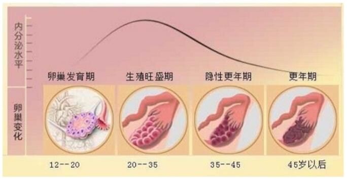 QQ截圖20231016140726.jpg